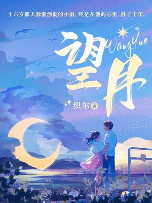 望月有感