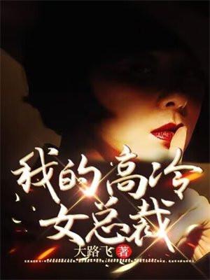 我的高冷女总裁苏颖全文阅读