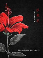 扶桑花和木槿花的区别