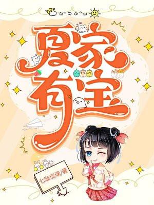 夏家之宝