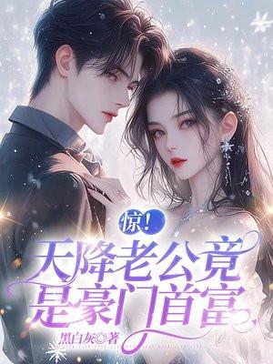 天降老公无限宠免费阅读