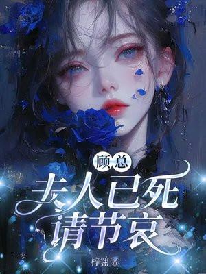夫人又辞职了