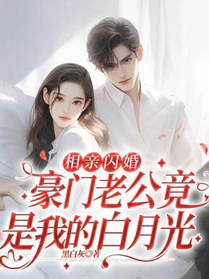相亲闪婚老公是总裁