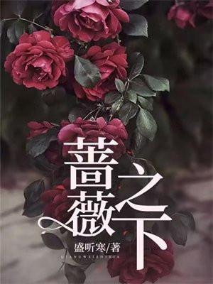 蔷薇之下沈青棠裴樾