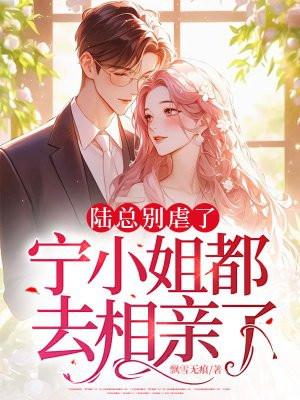 宁小姐都去相亲了免费阅读