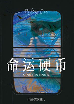 命运硬币使用成功