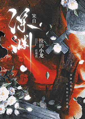 捡的小龙来自深渊晋江