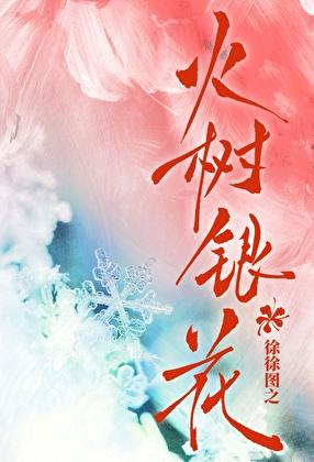 火树银花烟花多少钱