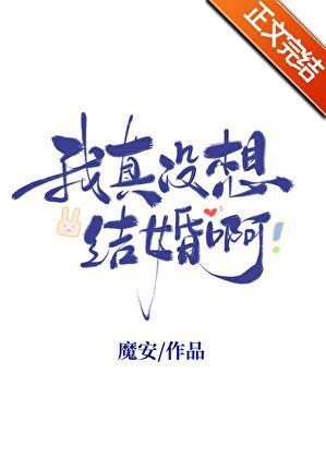 我真没想结婚啊by魔安