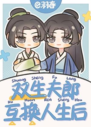 双生夫郎互换人生后 番外