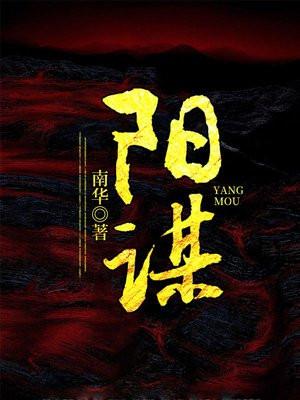 阳谋阴谋