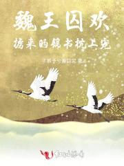 魏王囚欢：掳来的锦书枕上宠