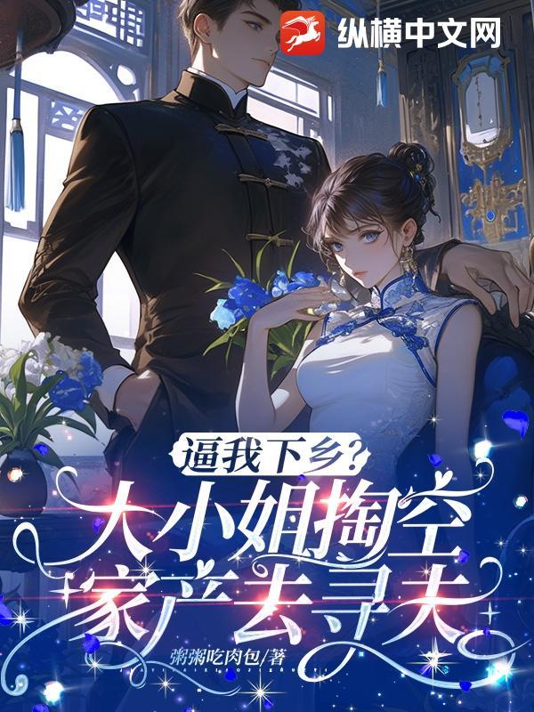 逼我下乡?大小姐掏空家产千里寻夫 逼我下乡?大小姐掏空家产千里寻夫