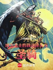 成为术士的我选择去当圣骑! 成为术士的我选择去当圣骑!