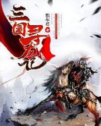 三国寻龙记 三国寻龙记